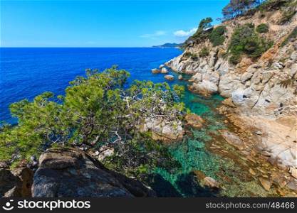Summer sea rocky coast view with pine tree in front (Catalonia, Costa Brava, Spain).