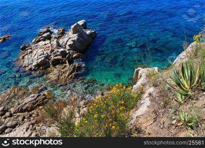 Summer sea rocky coast view with yellow flowers and Agave plants (Spain).