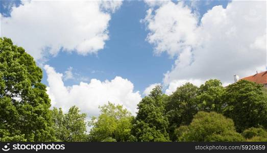 summer, season and nature concept - green trees and house roof over blue sky with white clouds