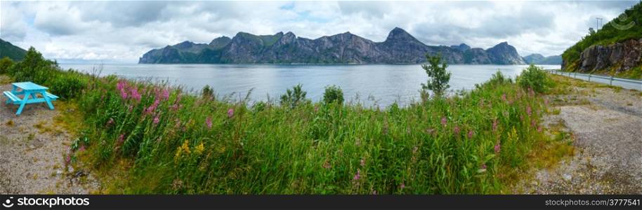 Summer Senja coast (Norway) panorama and pink flowers in front. Cloudy weather.