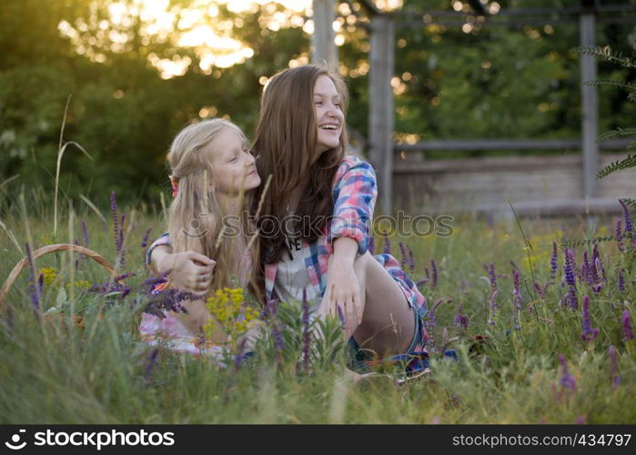 summer - Smiling girls sisters have fun in a meadow