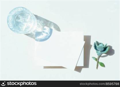 summer stationery mock-up scene. Sussulent plant and glass of clear water on neutral beige textured table background.. summer stationery mock-up scene.