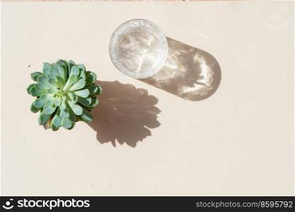 summer stationery scene. Succulent pland and glass of clear water on beige textured table background.. summer stationery mock-up scene.