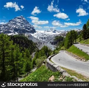 Summer Stelvio Pass with fir forest and snow on mountain top (Italy). Two shots stitch image.