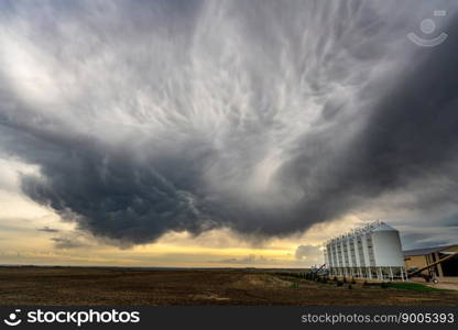 Summer Storms in the Canadian Prairies Dramatic Scenes Summer Storms in the Canadian Prairies Dramatic Scenes