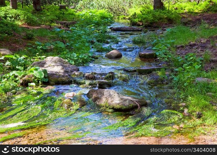 Summer stream with moss covered stones at bottom in forest