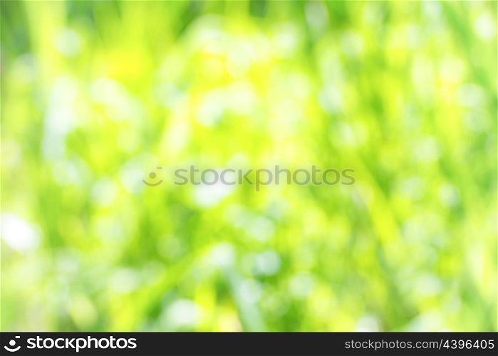 Summer sunny background. Green defocused field of green grass