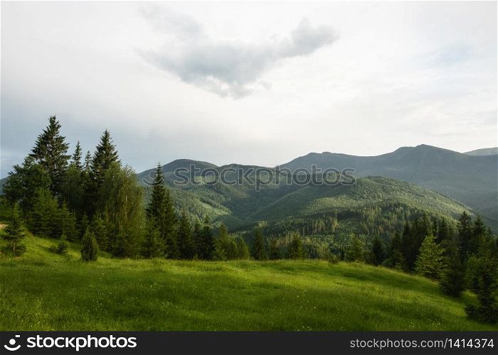 Summer sunny morning landscape in the mountains. Sunrise nature beauty world