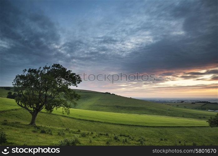 Summer sunset landscape Steyning Bowl on South Downs