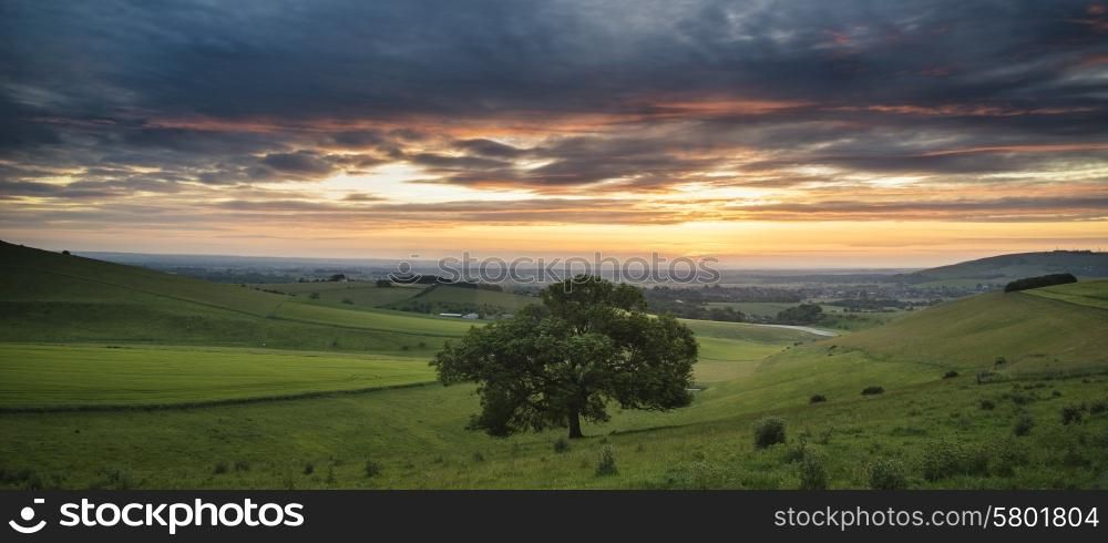 Summer sunset landscape Steyning Bowl on South Downs
