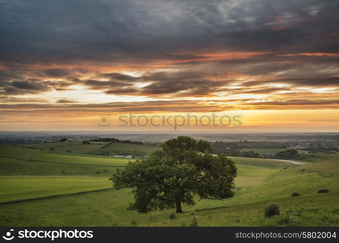 Summer sunset landscape Steyning Bowl on South Downs