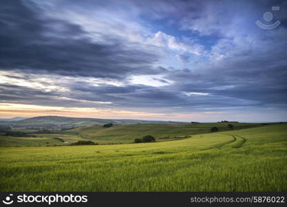 Summer sunset landscape Steyning Bowl on South Downs