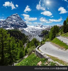 Summer sunshiny Stelvio Pass with fir forest and snow on mountain top (Italy). Two shots stitch image.