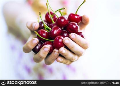 summer - the girl is holding a ripe red cherry in her hands