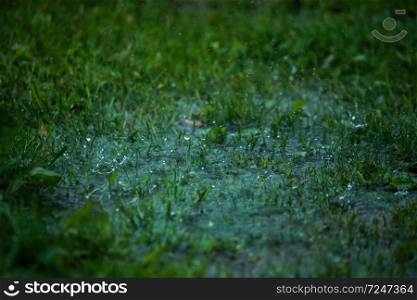 Summer thunderstorm rain refreshing nature meadow. Background with rain drops in meadow. Rain is condensed moisture of the atmosphere falling visibly in separate drops.