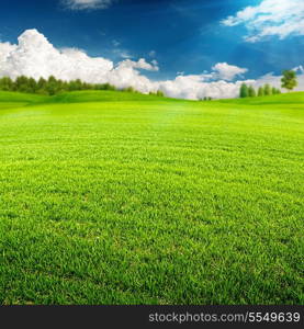 Summer time, abstract environmental backgrounds for your design