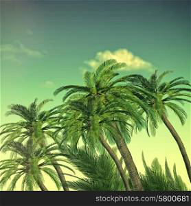 Summer trip backgrounds with palm tree