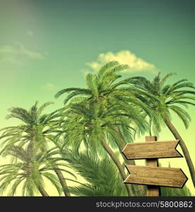 Summer trip backgrounds with palm tree