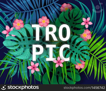 Summer tropical leaves exotical plants palm jungle leaf. Summer tropical leaves exotical plants palm jungle leaf. Trending colors on dark background template banner. Vector illustration isolated