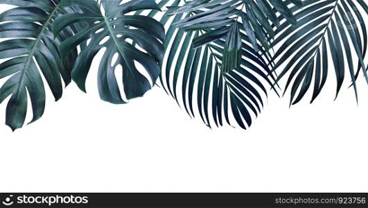 Summer tropical leaves on white background