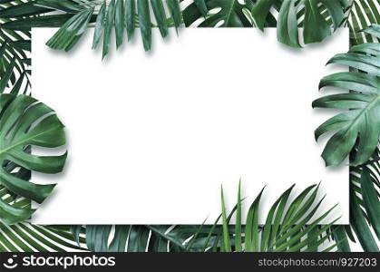 Summer tropical leaves with blank paper on white background