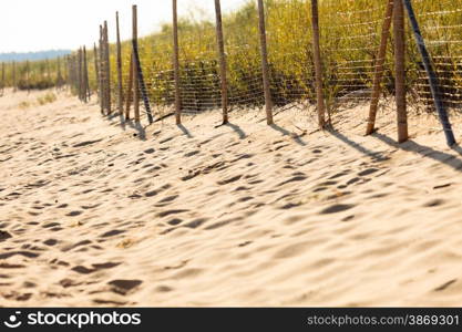 Summer vacation and resort. Sandy beach in summer and grassy dunes with fence