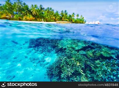 Summer vacation concept, beautiful underwater nature in Indian ocean, exotic island with tropical trees, wonderful landscape of Maldives