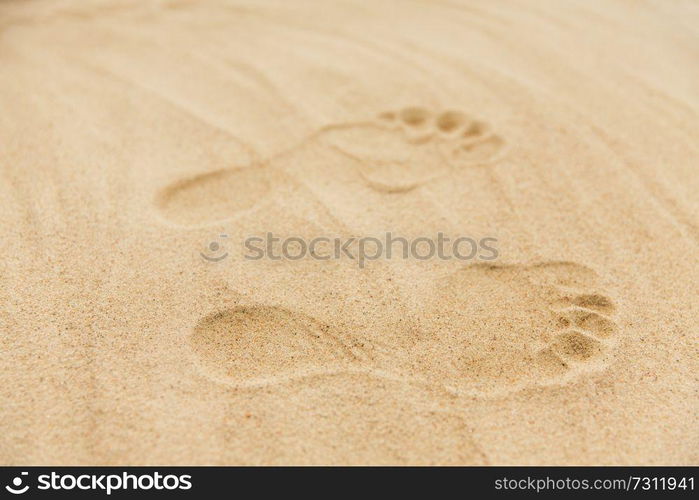 summer vacation concept - footprints in sand on beach. footprints in sand on summer beach