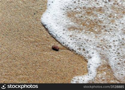 summer vacation on beach sea shore. sea water, sand