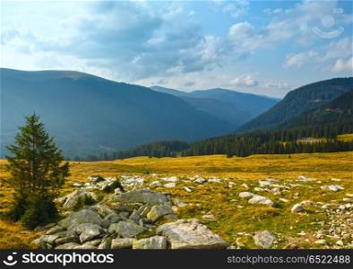 Summer view from Transalpina road (Southern Carpathians, Romania).