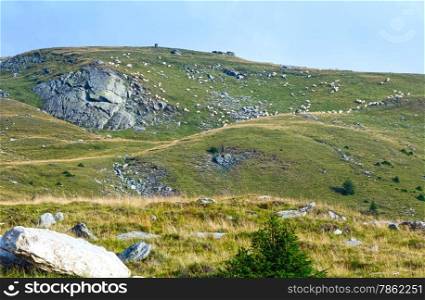 Summer view from Transalpina road (Southern Carpathians, Romania) and flock of sheeps on slope.