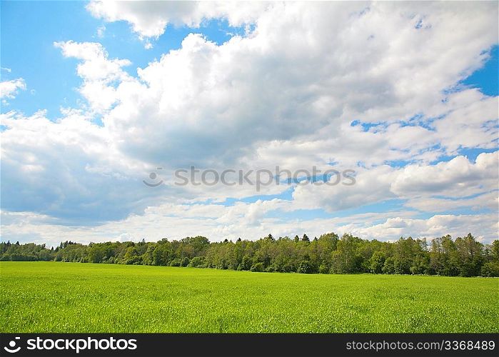 Summer view, grass, tree, clouds.