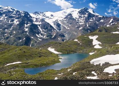 summer view of Cevedale mountain with a small lake in Stelvio National park, Trentino, Italy.