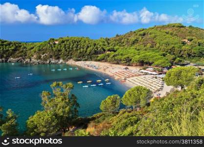 summer view of Fetovaia beach, Elba island, Italy