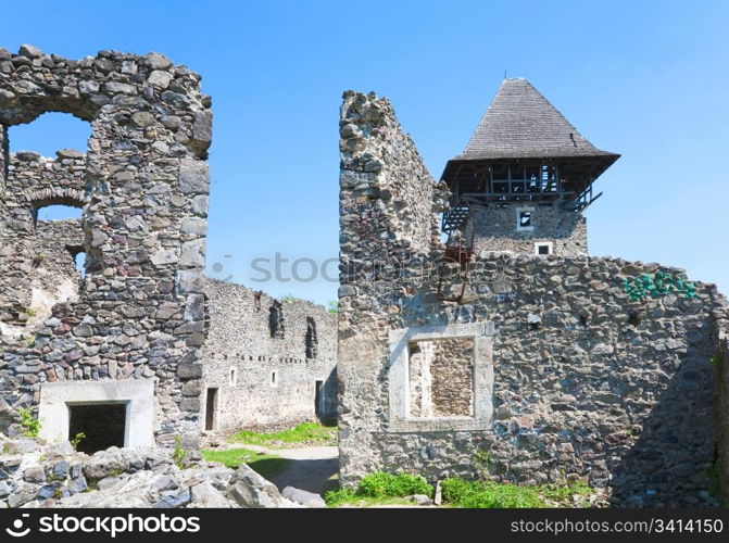 Summer view of Nevytsky Castle ruins (Kamyanitsa village ,12 km north of Uzhhorod, Zakarpattia Oblast, Ukraine). Built in 13th century.