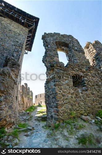Summer view of Nevytsky Castle ruins (Kamyanitsa village ,12 km north of Uzhhorod, Zakarpattia Oblast, Ukraine). Built in 13th century. Three shots stitch image making with wide-angle lens.