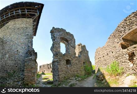 Summer view of Nevytsky Castle ruins (Kamyanitsa village ,12 km north of Uzhhorod, Zakarpattia Oblast, Ukraine). Built in 13th century. Four shots stitch image making with wide-angle lens.