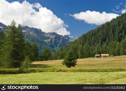 summer view of Pejo valley in Trentino, Italy