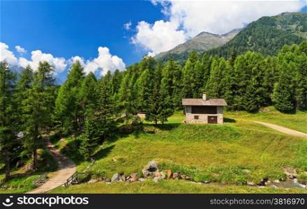 summer view of Pejo valley, Trentino, Italy