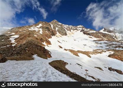 summer view of Tavela peak in Stelvio National park, Trentino, Italy.