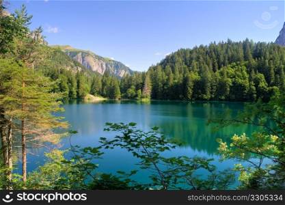 summer view of Tovel Lake, Trentino Italy.