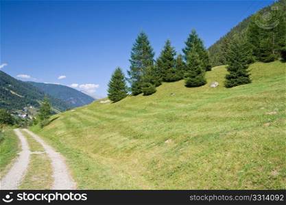 summer view of Val di Sole, Trentino, Italy