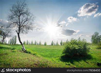 Sun and clouds in the spring field