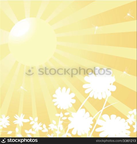 Sun and flowers background, spring concept