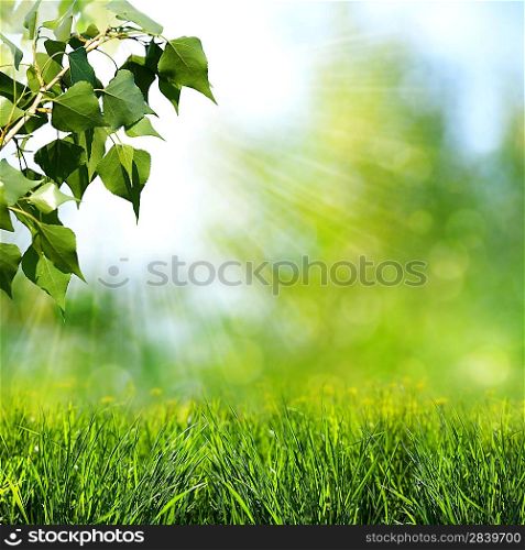 Sun beam. Abstract spring and summer backgrounds