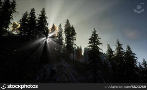 sun beams through trees at rock in mountains. Sun Beams through Trees