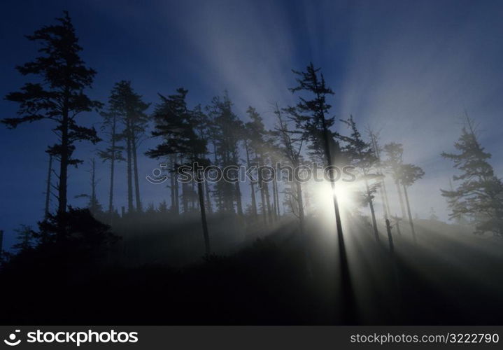 Sun Breaking Through the Fog