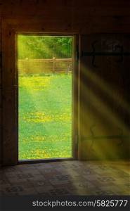 Sun light shining through wooden door from new world with green meadow and flowers