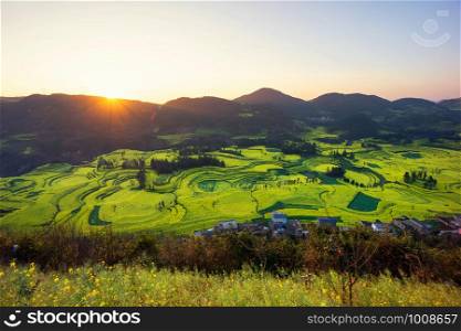 Sun light with Rapeseed flowers at Snail farm Luositian Field in Luoping County, China