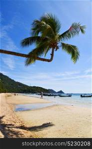 sun ligt asia in the kho tao bay isle white beach rocks boat thailand and south china sea anchor